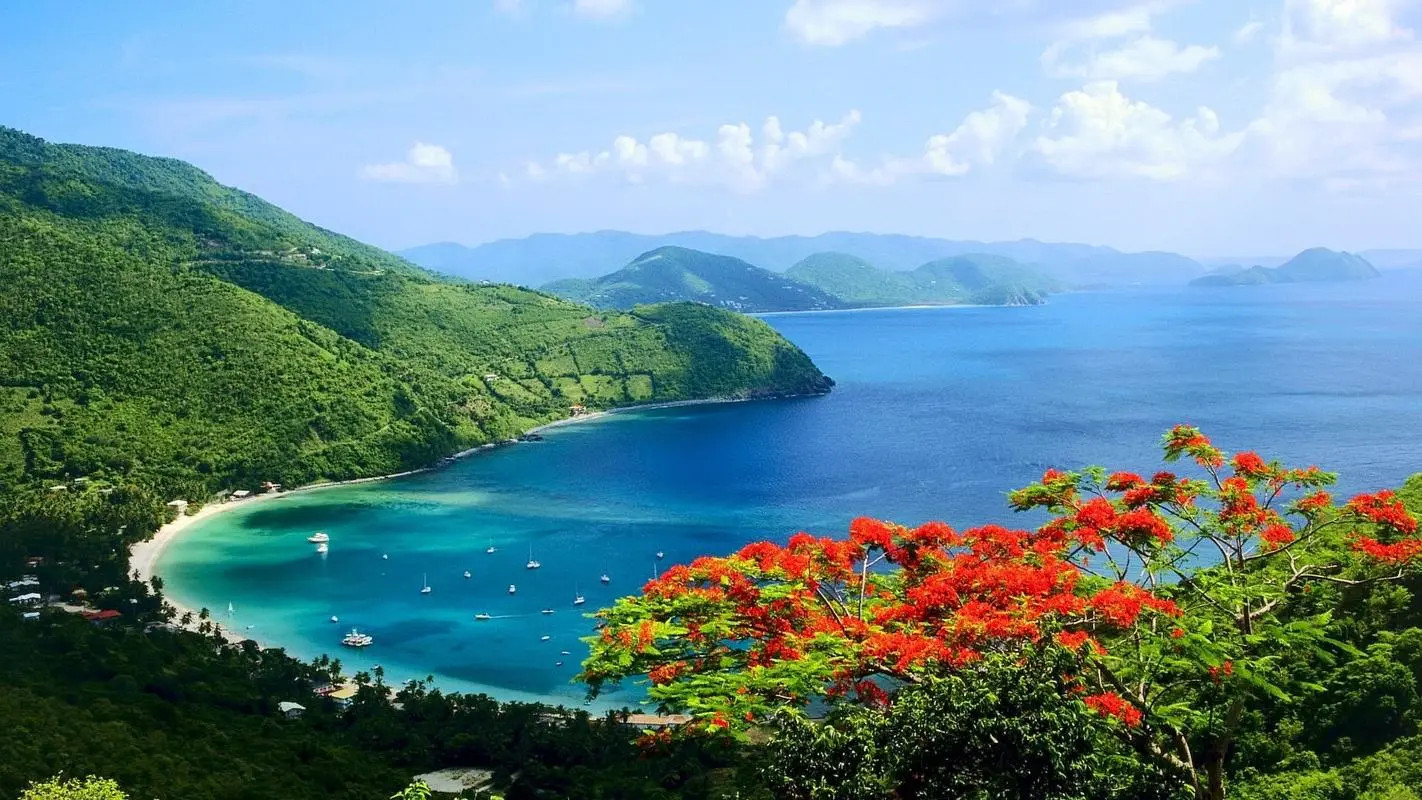 高精度电子